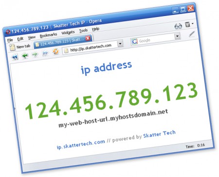 Lấy địa chỉ IP