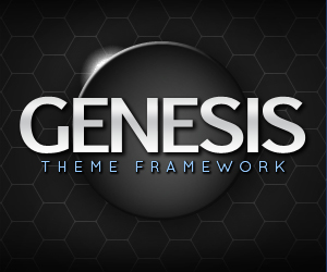 Genesis Theme framework - Cơn sốt mới của làng blogger Việt 2011 ?