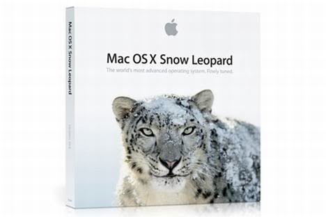 Snow Leopard Box